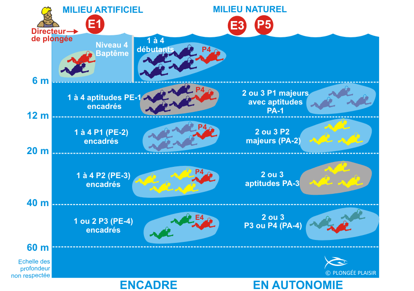 TÉLÉCHARGER ILLUSTRA PACK 3 3 TÉLÉCHARGER ILLUSTRA PACK