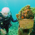 Albert Falco : hommages en Martinique